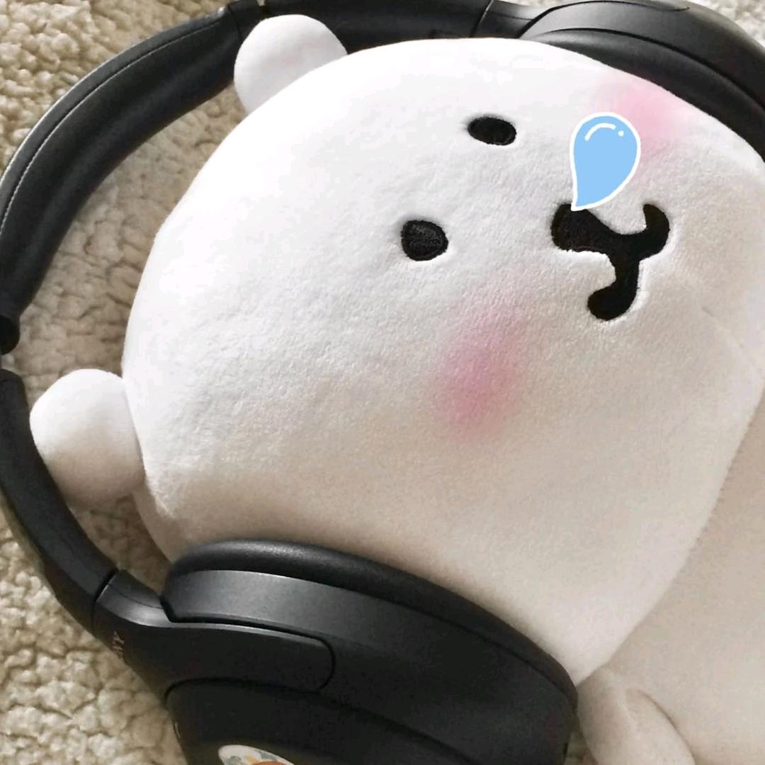 小汪zzZ