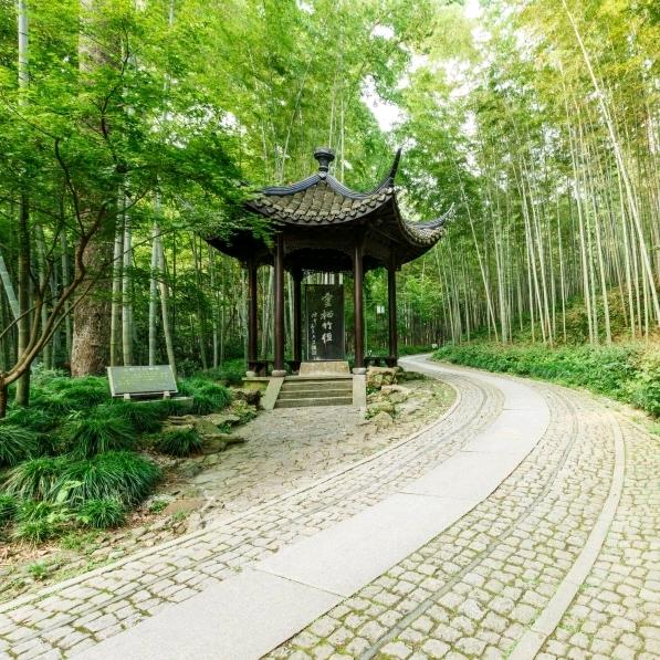 家麒惜悦