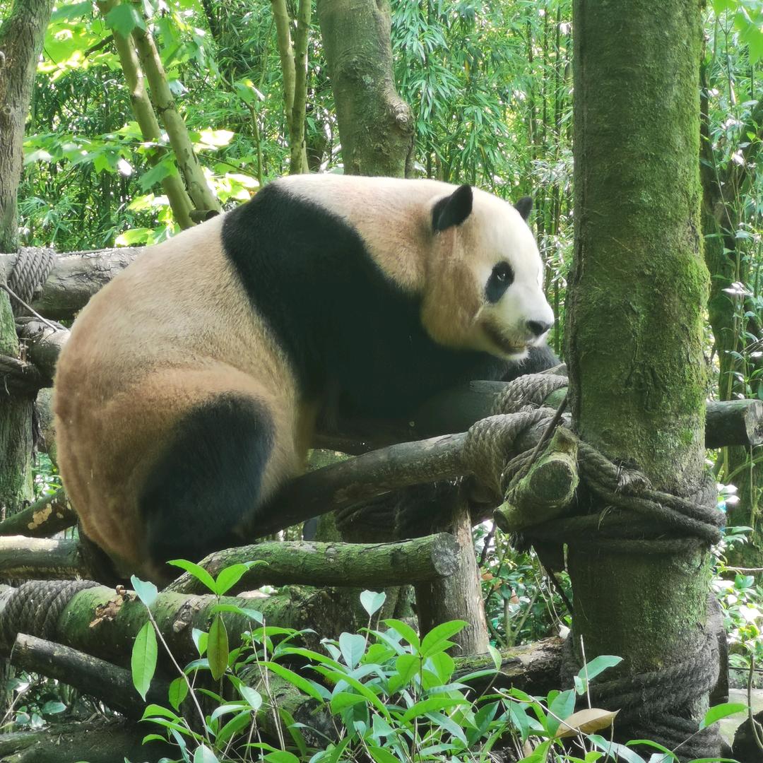 未来已来