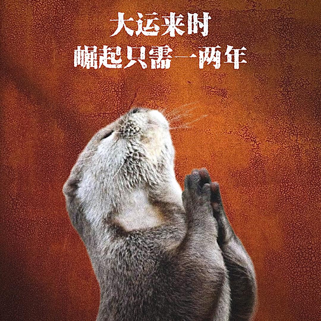 种个葫芦当爷爷