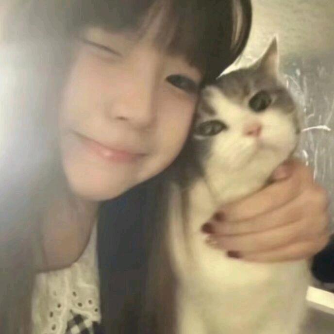 玉桂狗腿子