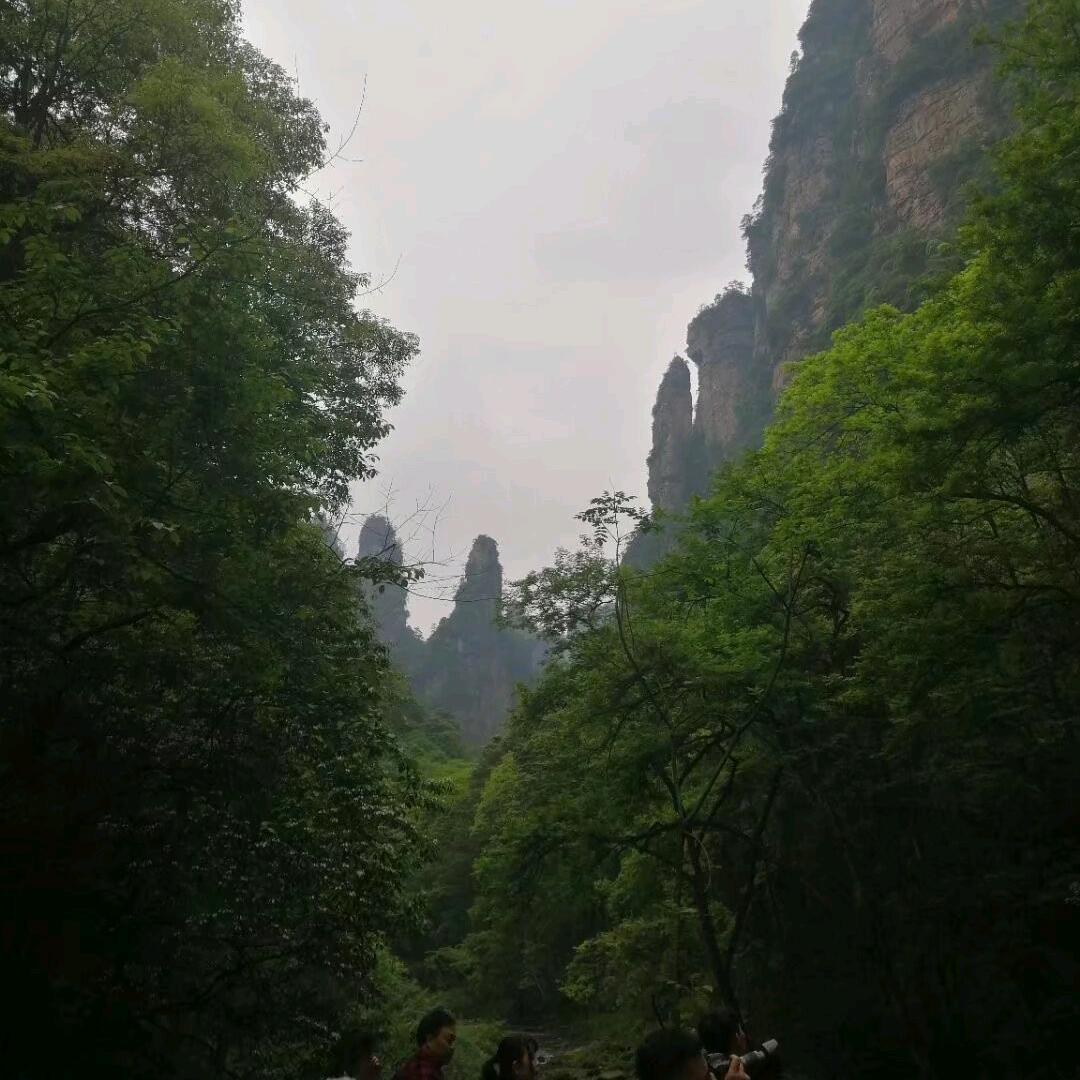某人