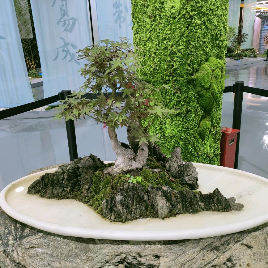 道道道