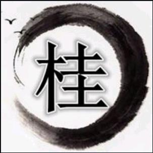 桂学长讲高考（广西高考志愿填报咨询）