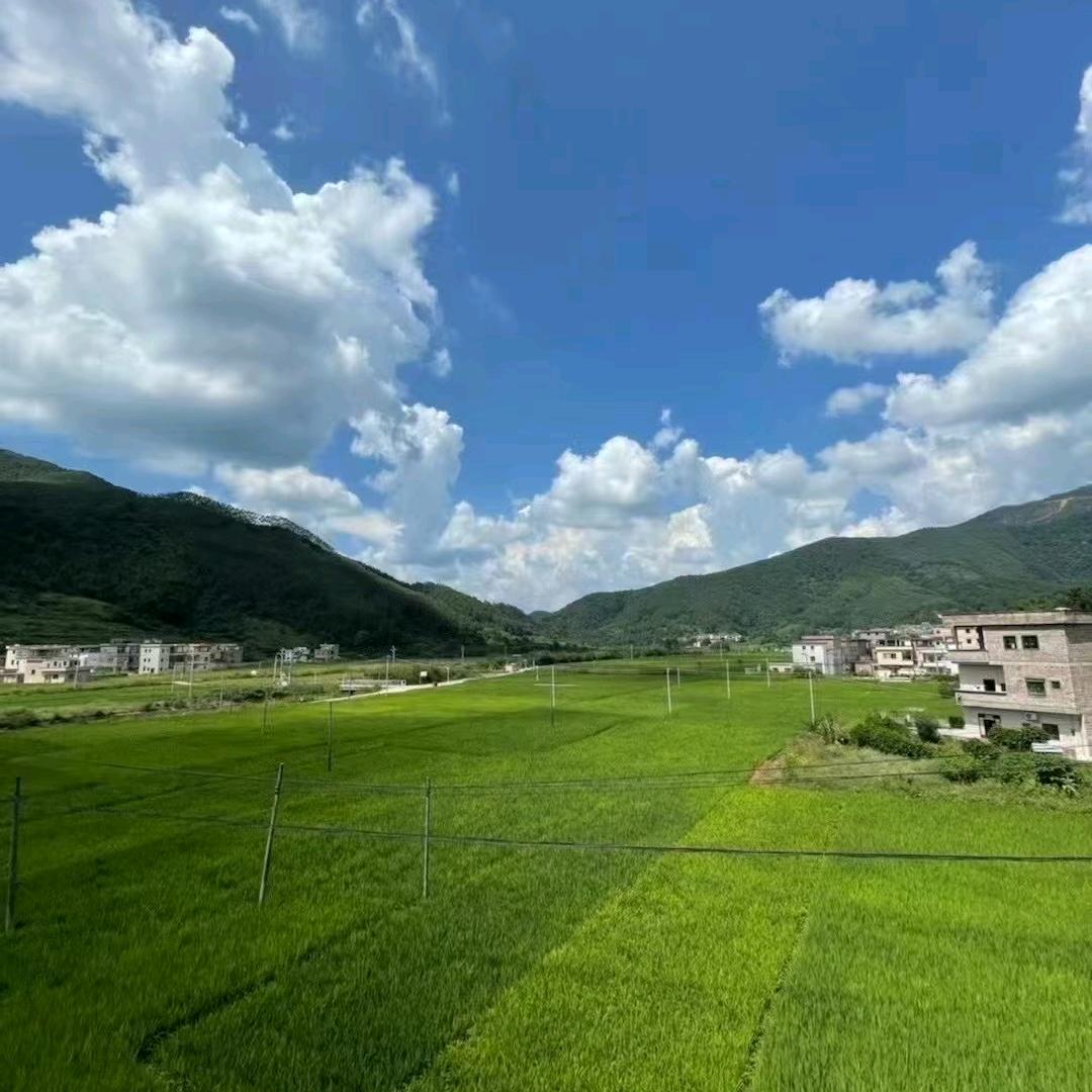 正己化人