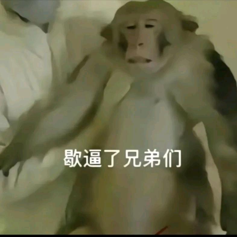 陈十一