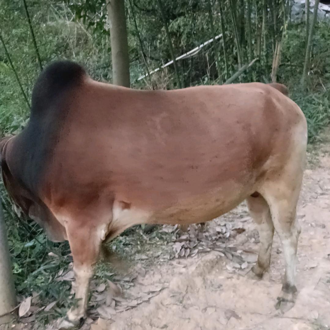 忘记过去，从新开始，