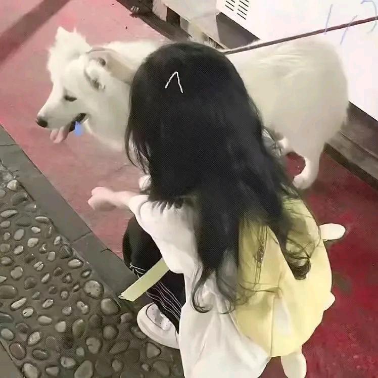 小袹