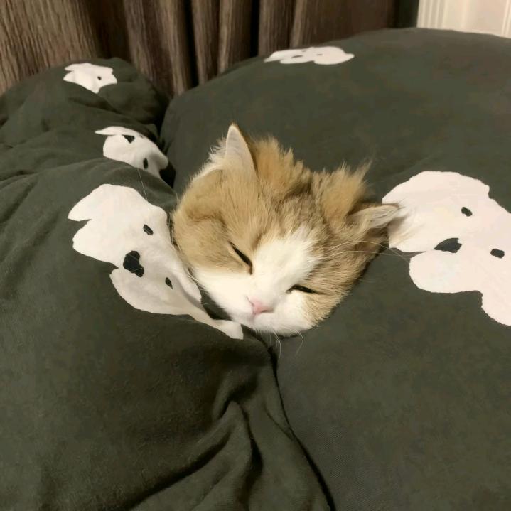 落月
