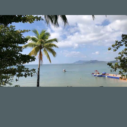 木森（1909）幸运男孩