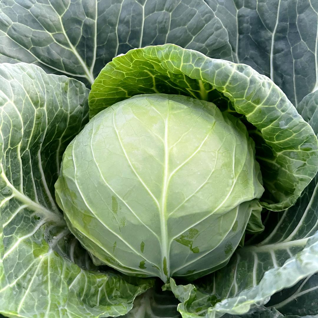 定西谷丰源农资有限责任公司