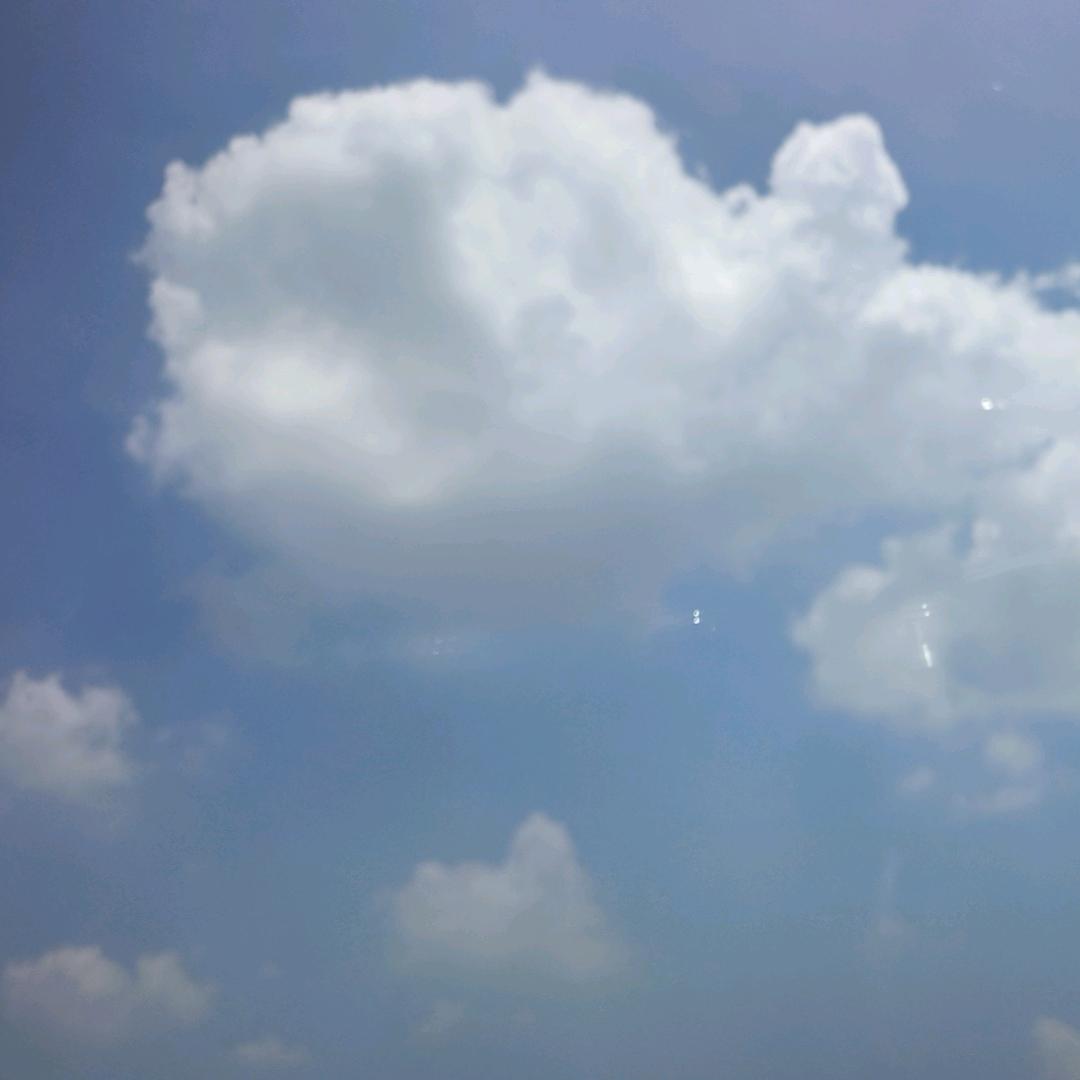 《会飞的燕子》