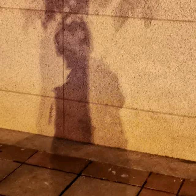 溯安夜（玖の破碎）