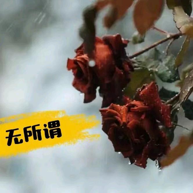 ꧁尘꧂