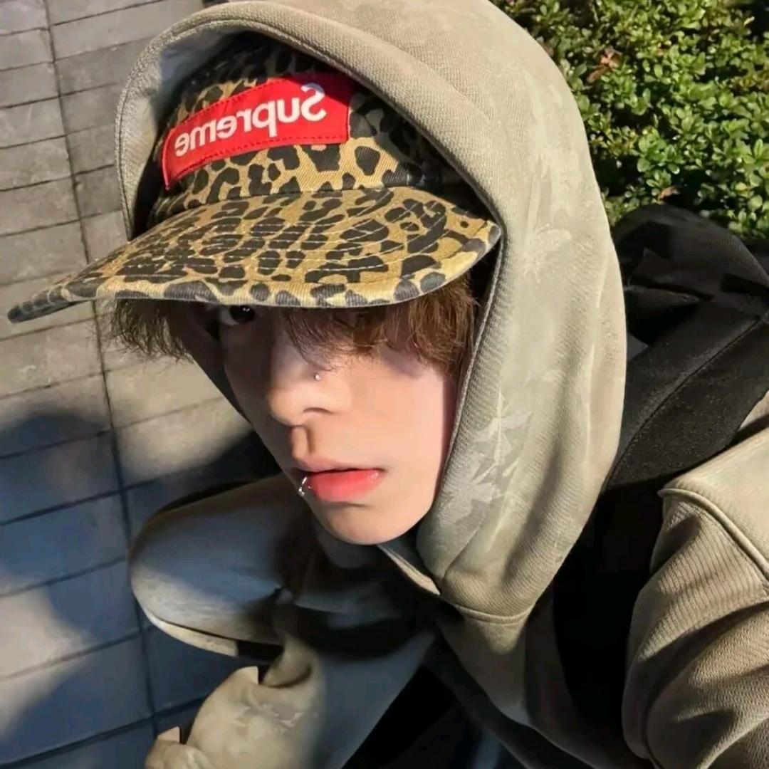 反方向的🦈