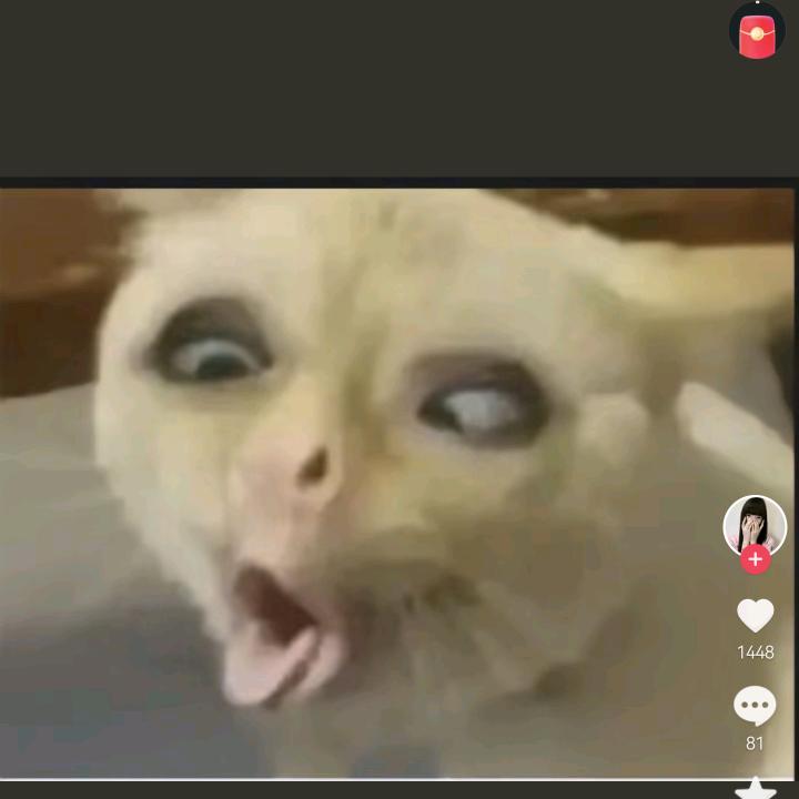 我是**