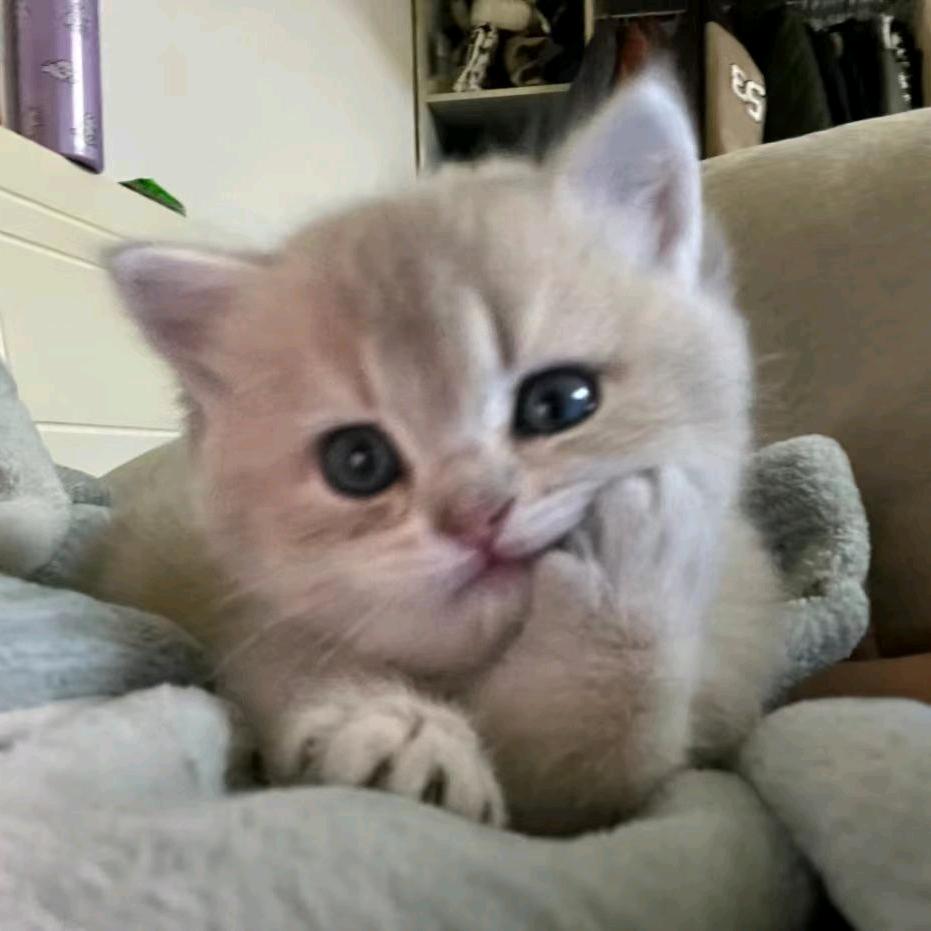 坏心眼
