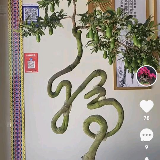 三天打渔，两天晒网