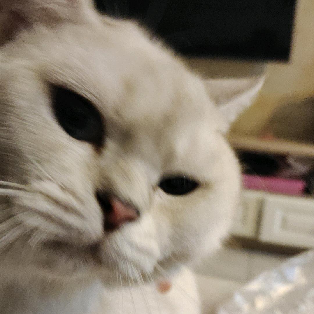滑梯啦~