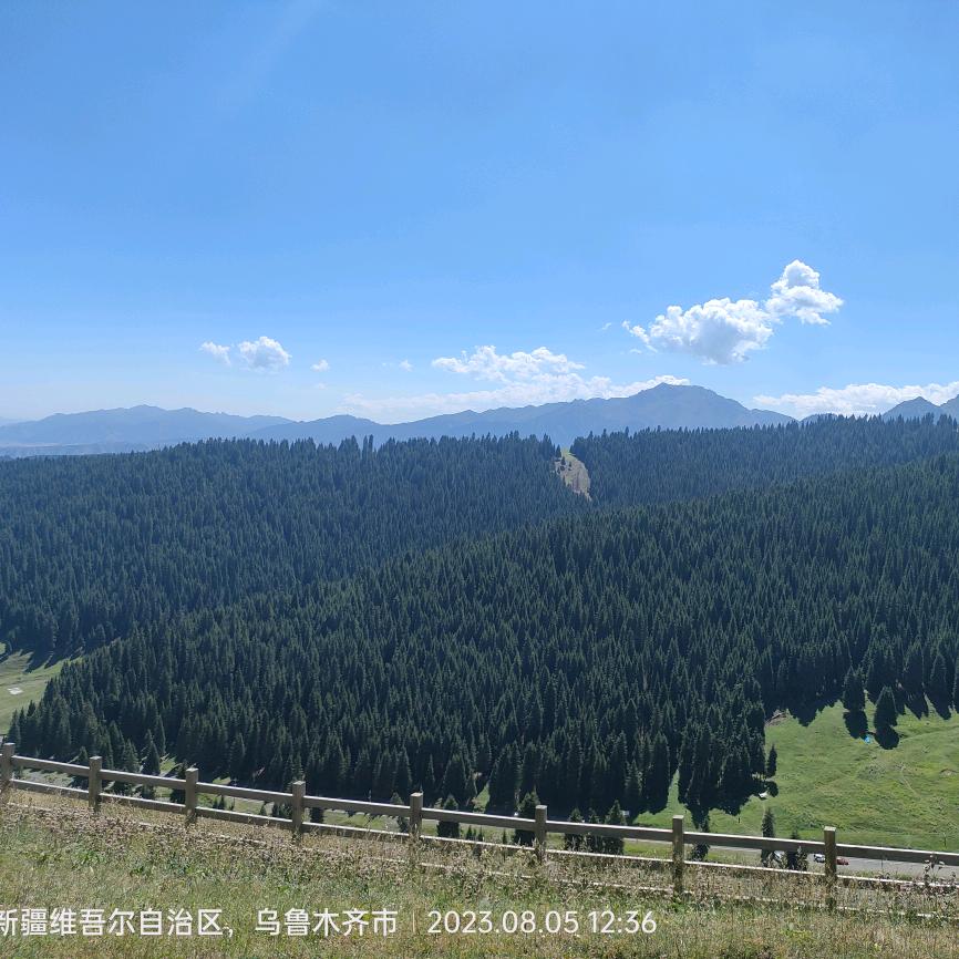名不会起