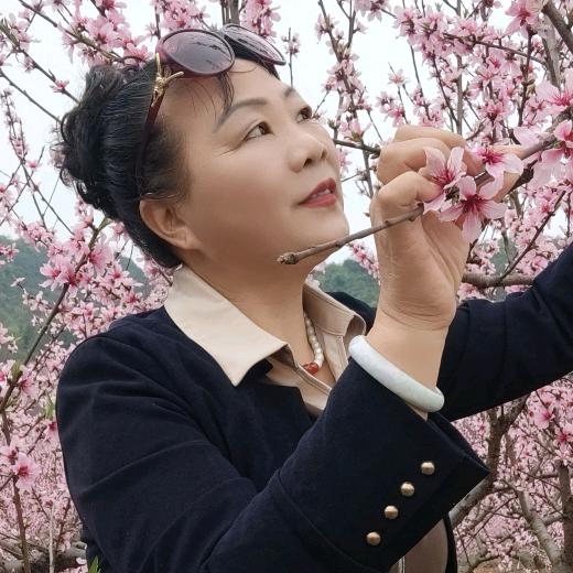 随遇而安🌷