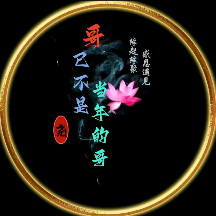 哥已不是当年的哥