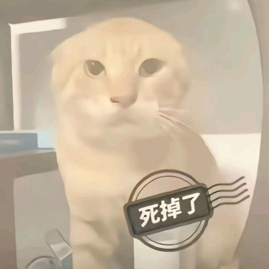 乱了的弦