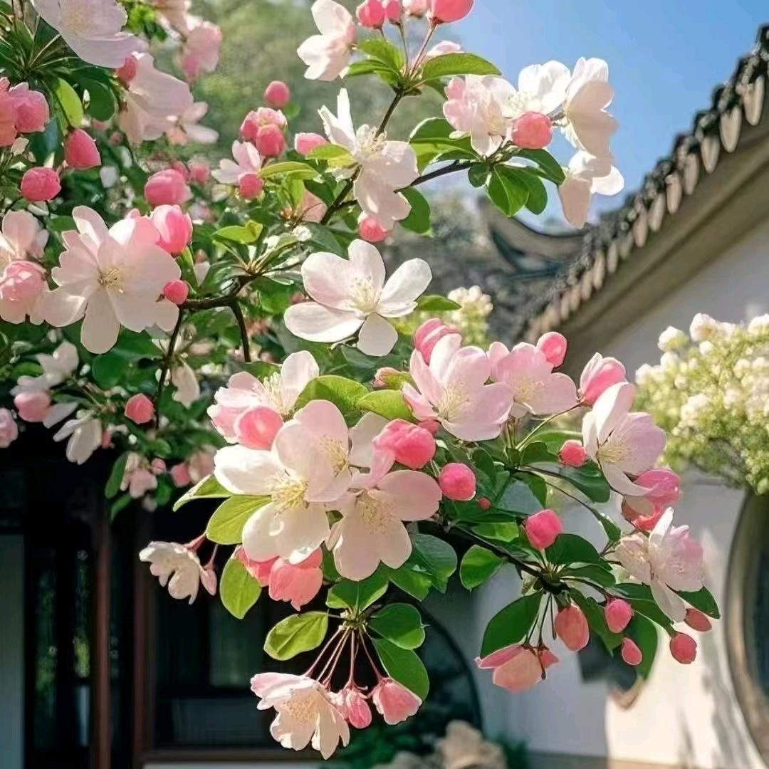 林间雾