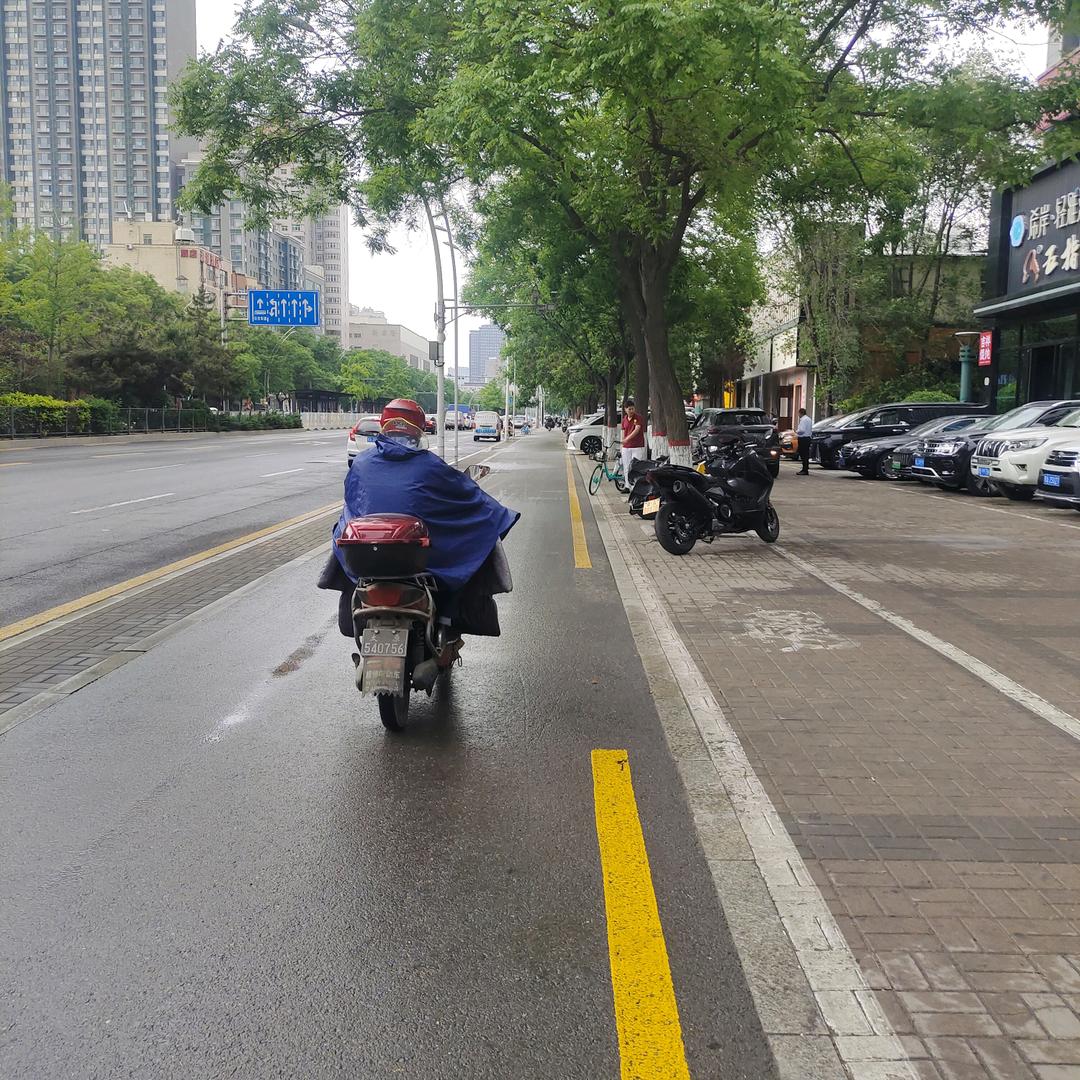 问情天涯（秋天不回来）