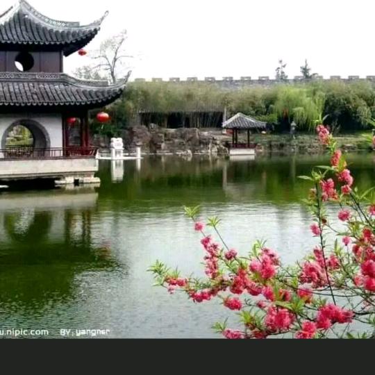 美丽人生🍒