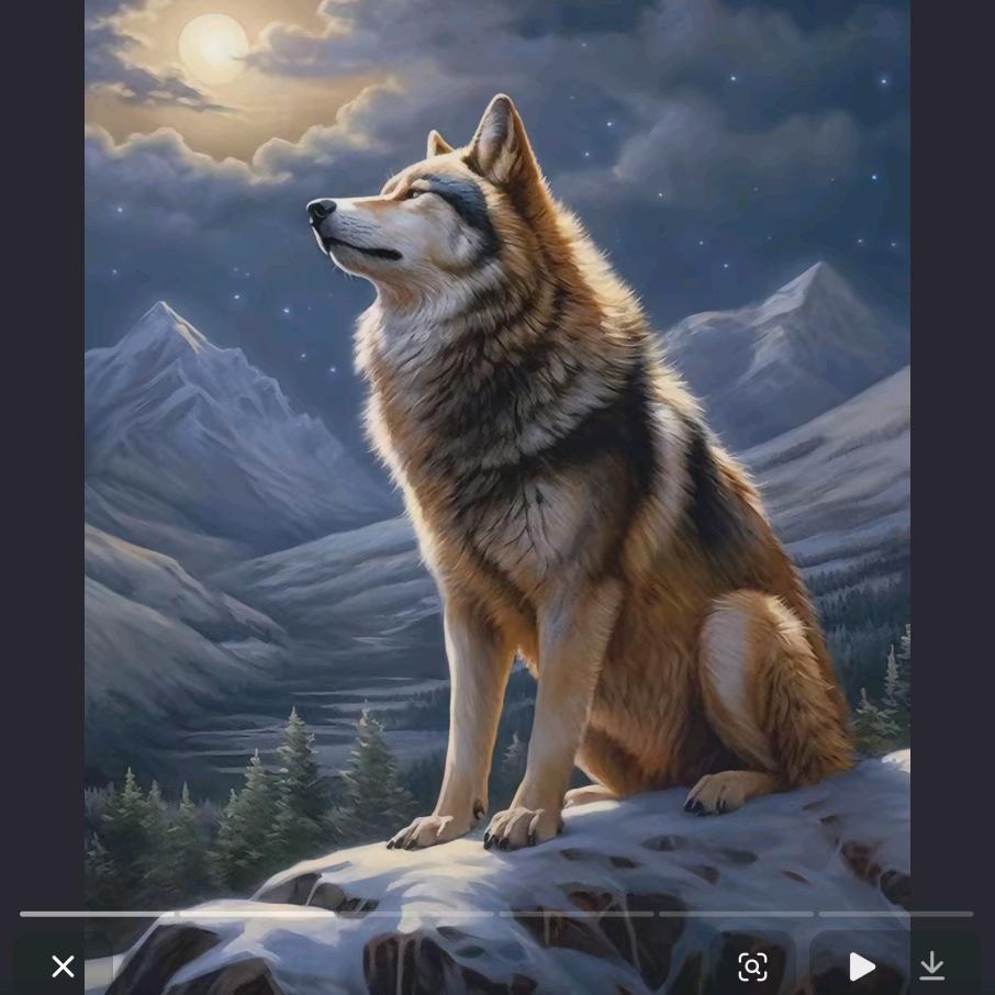 天🐺狼