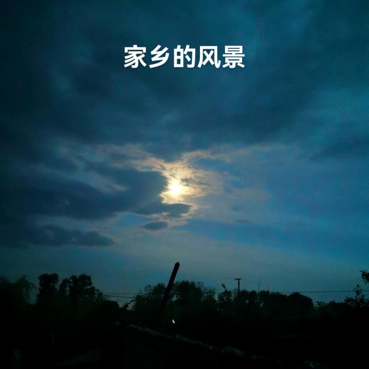 公园老大爷