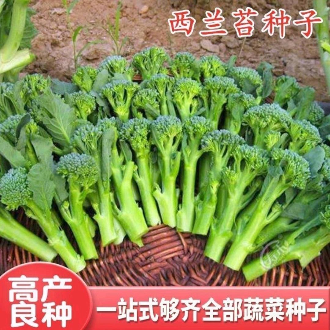 辉姐农产品