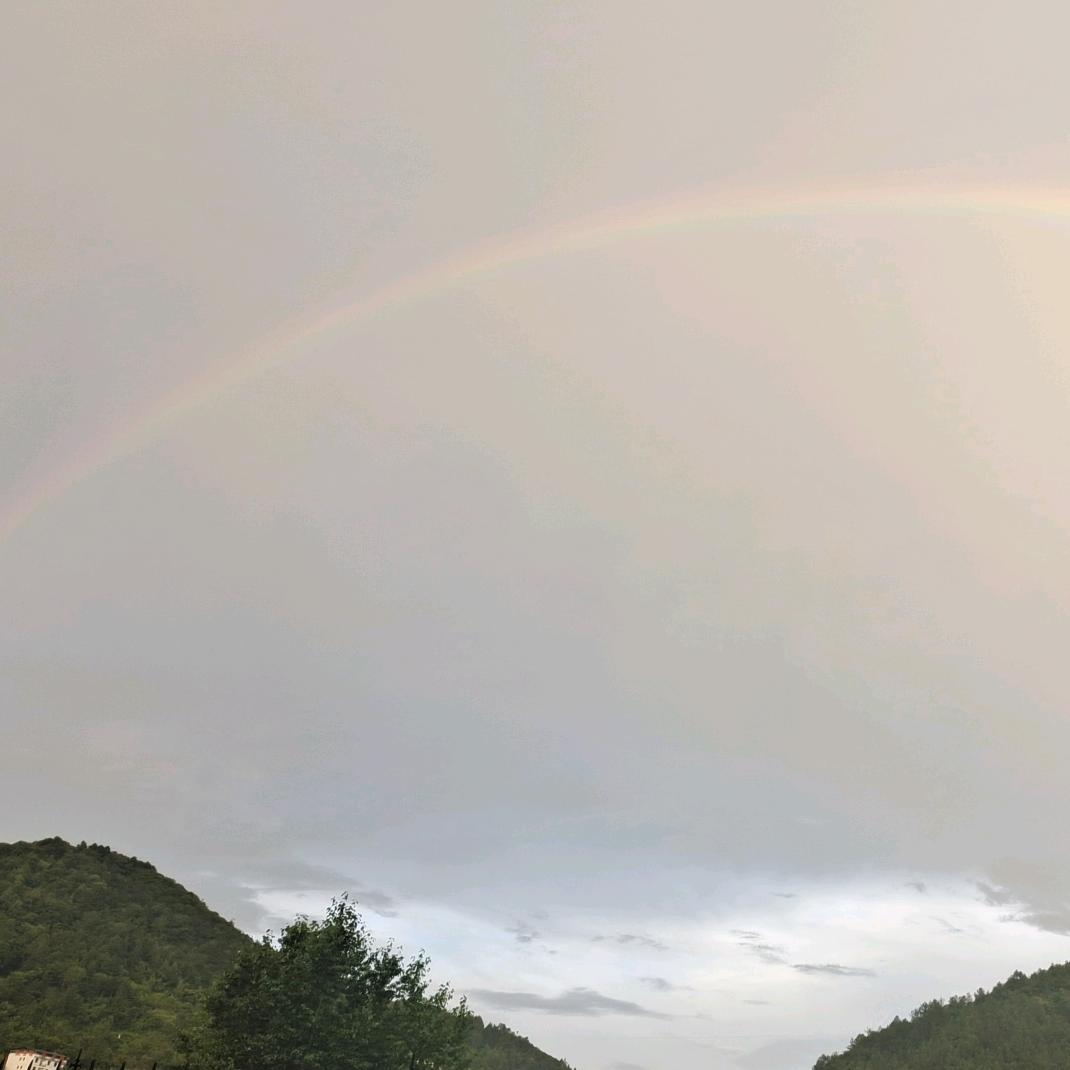 心向阳光🌸🌸