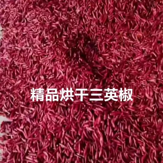 收辣椒。子弹头炕椒三芵椒大量收购。各种辣