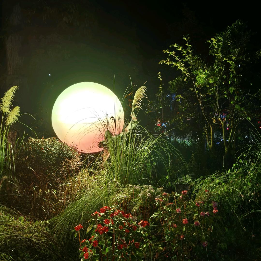 我是教练传授汽车安全驾驶技能是我技艺精神