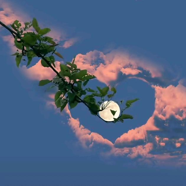 一辈子思念🤵‍♂️