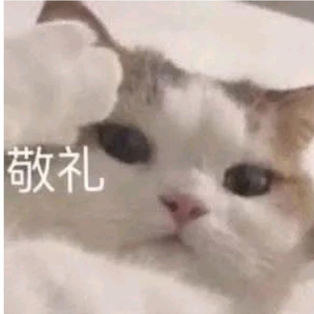 小夏的朋友圈