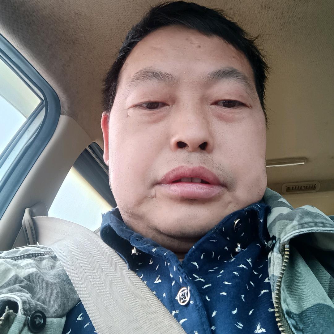 孤傲雪狼