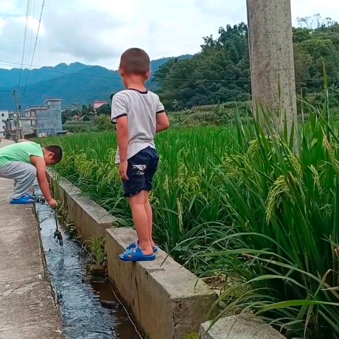 湛江小麦生活号