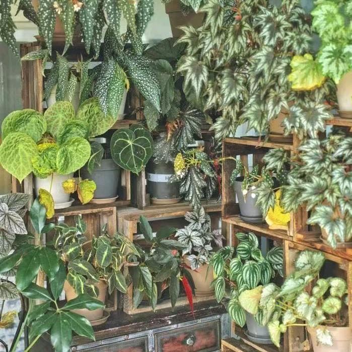 青禾花苑的头像