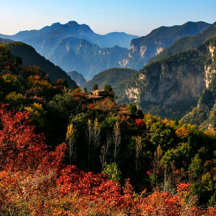 一万个理由