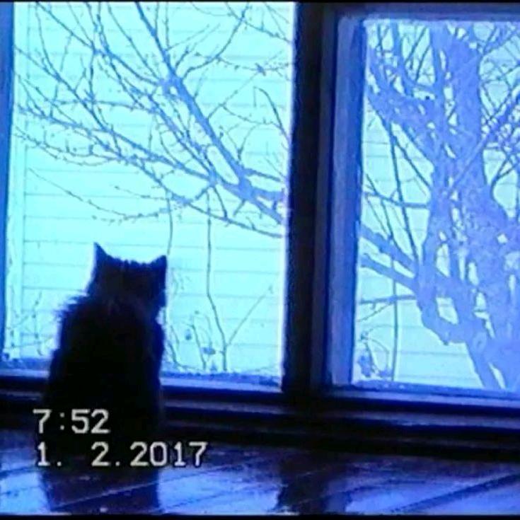 飘况