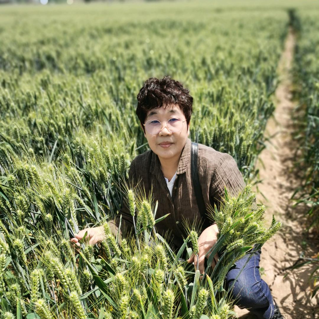 黄垓农业技术服务站