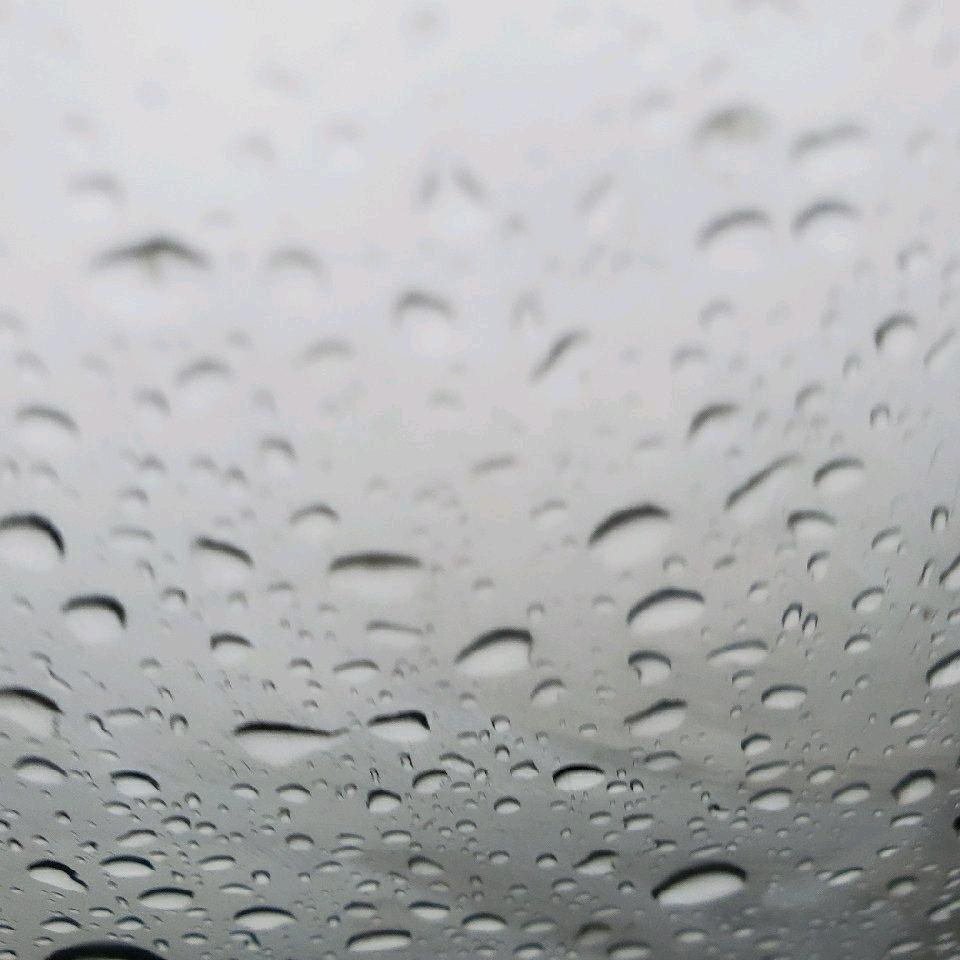 里樱