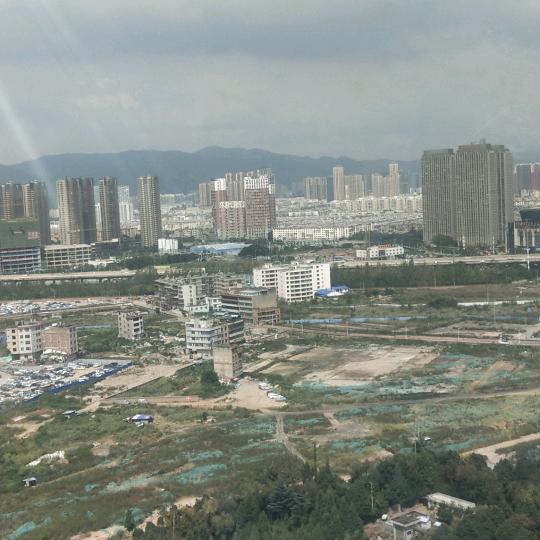 琼卿