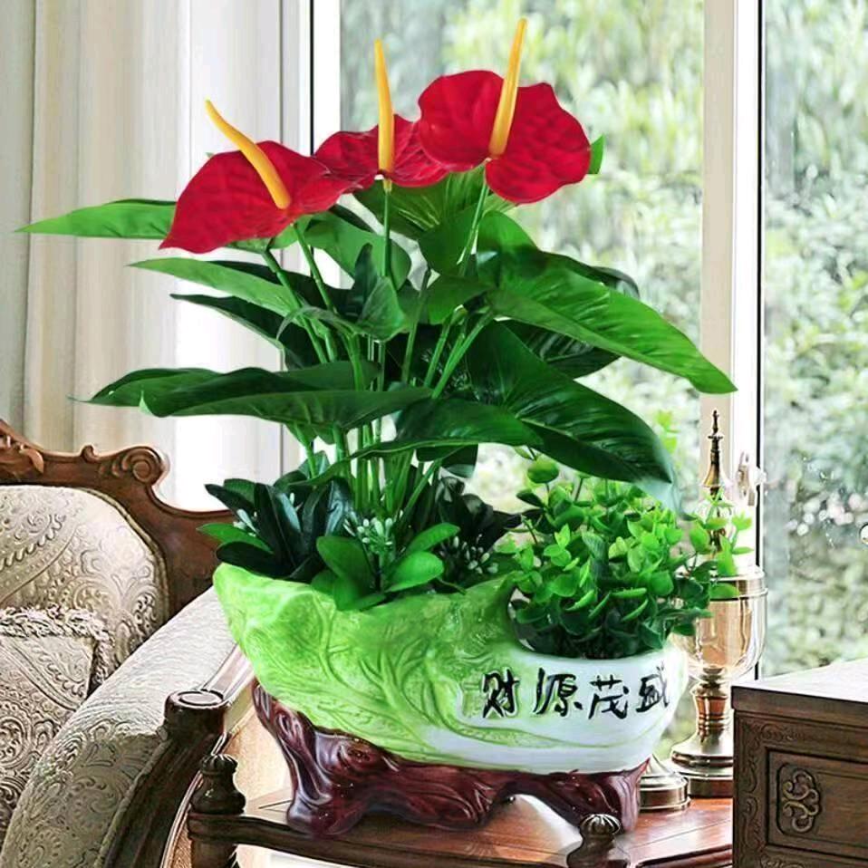 三山得月