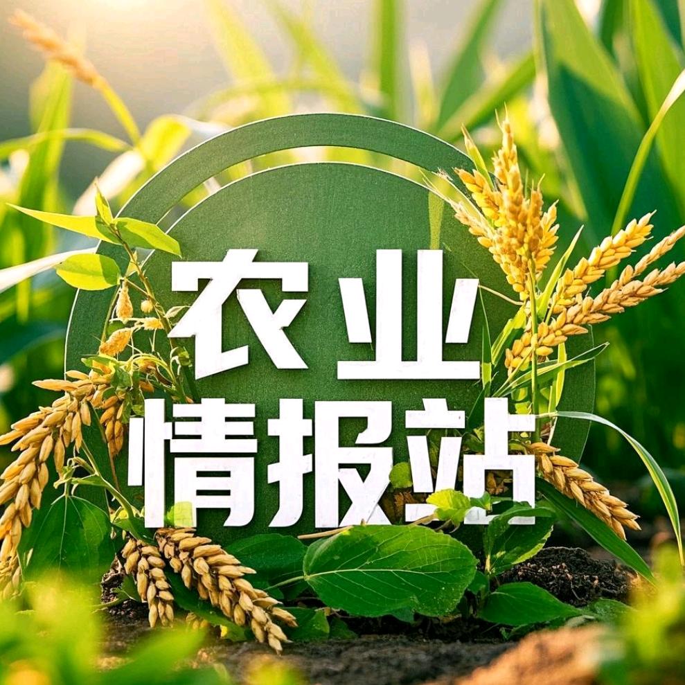 农业情报站