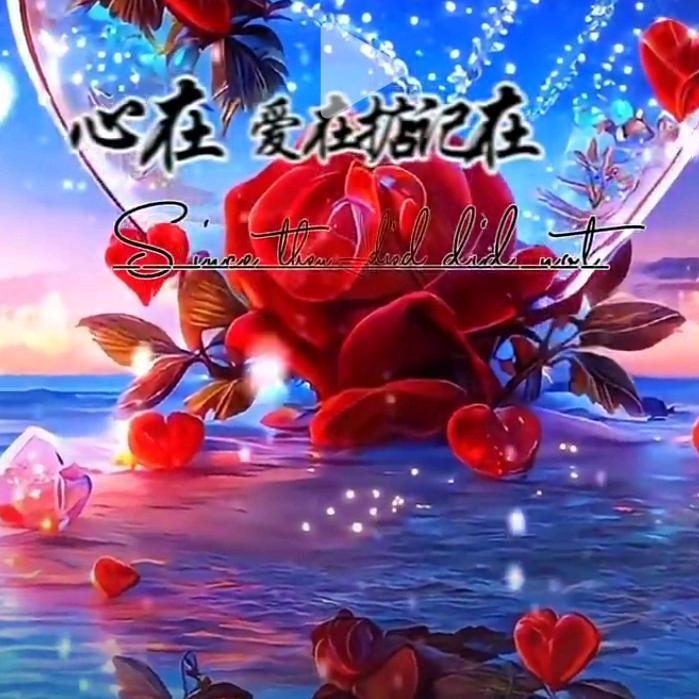 一场梦