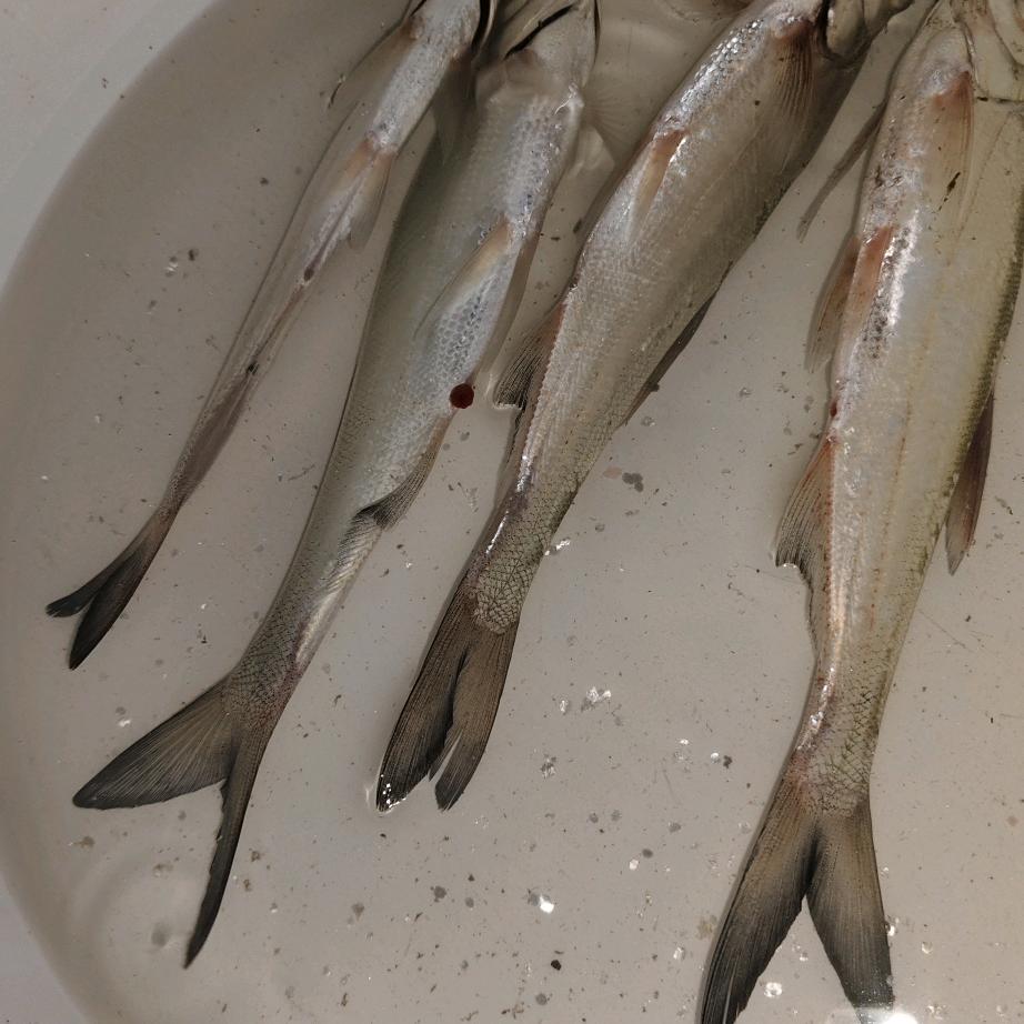 遇见星星的旅程i